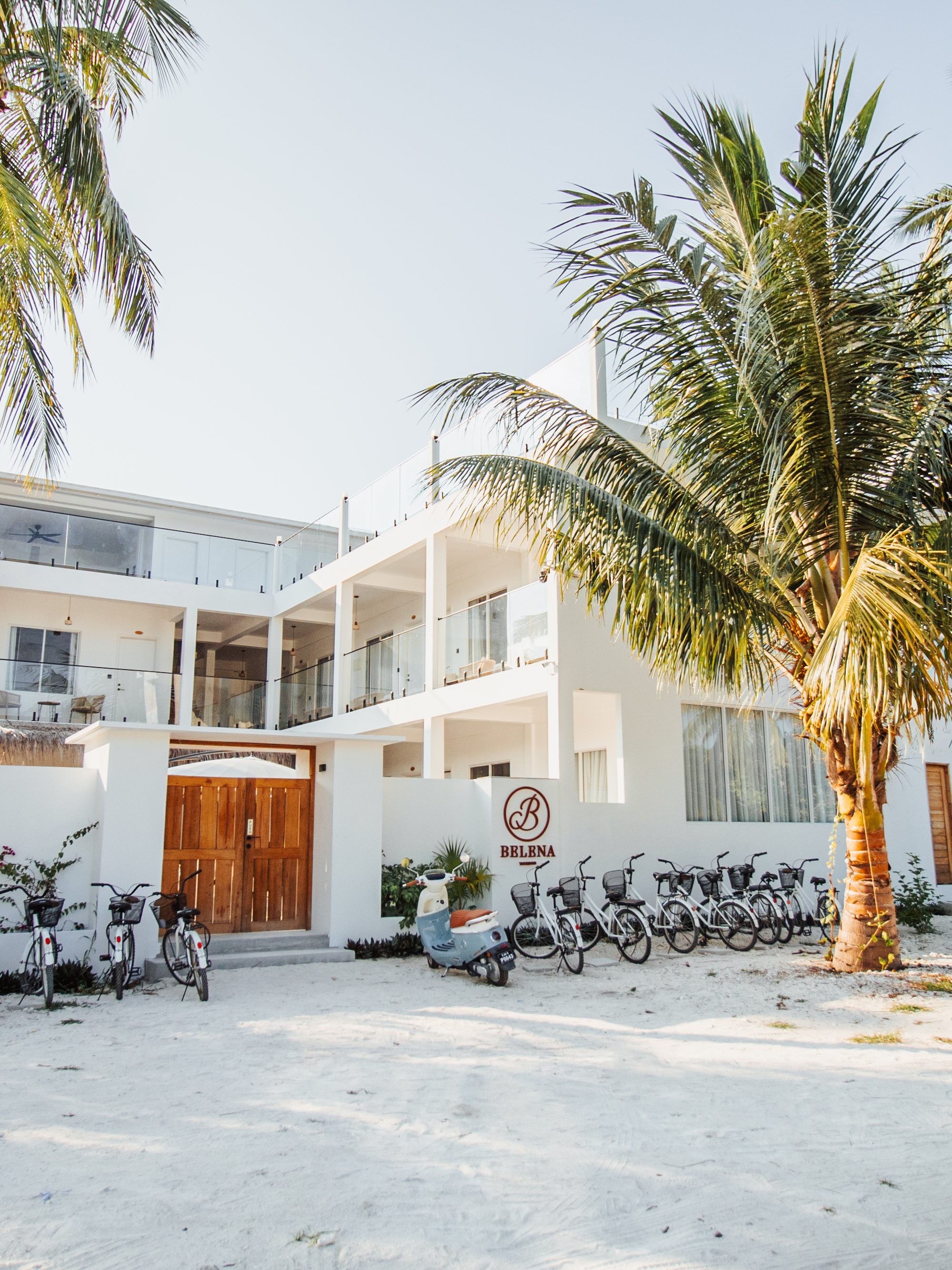 The beachfront facade beneath the palms
