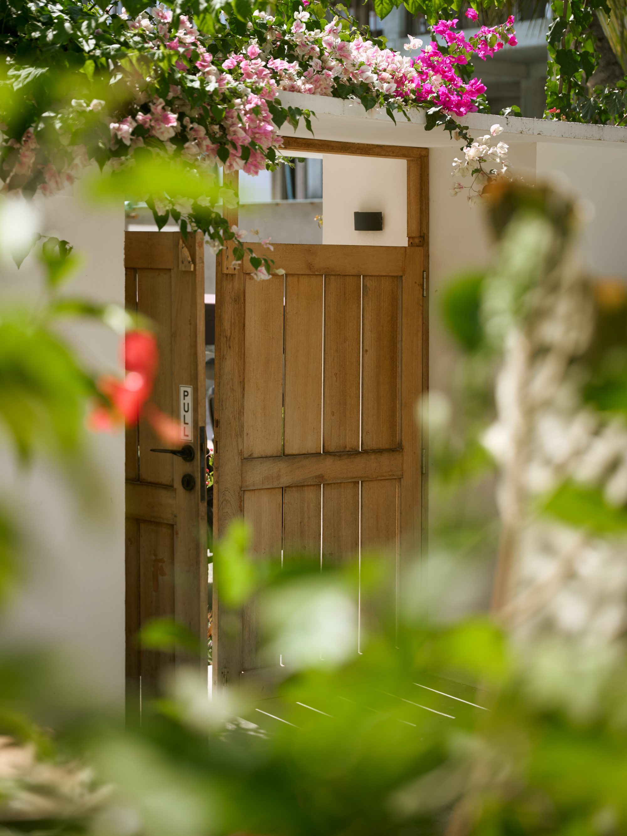The timber garden gate framed by bougainvillea