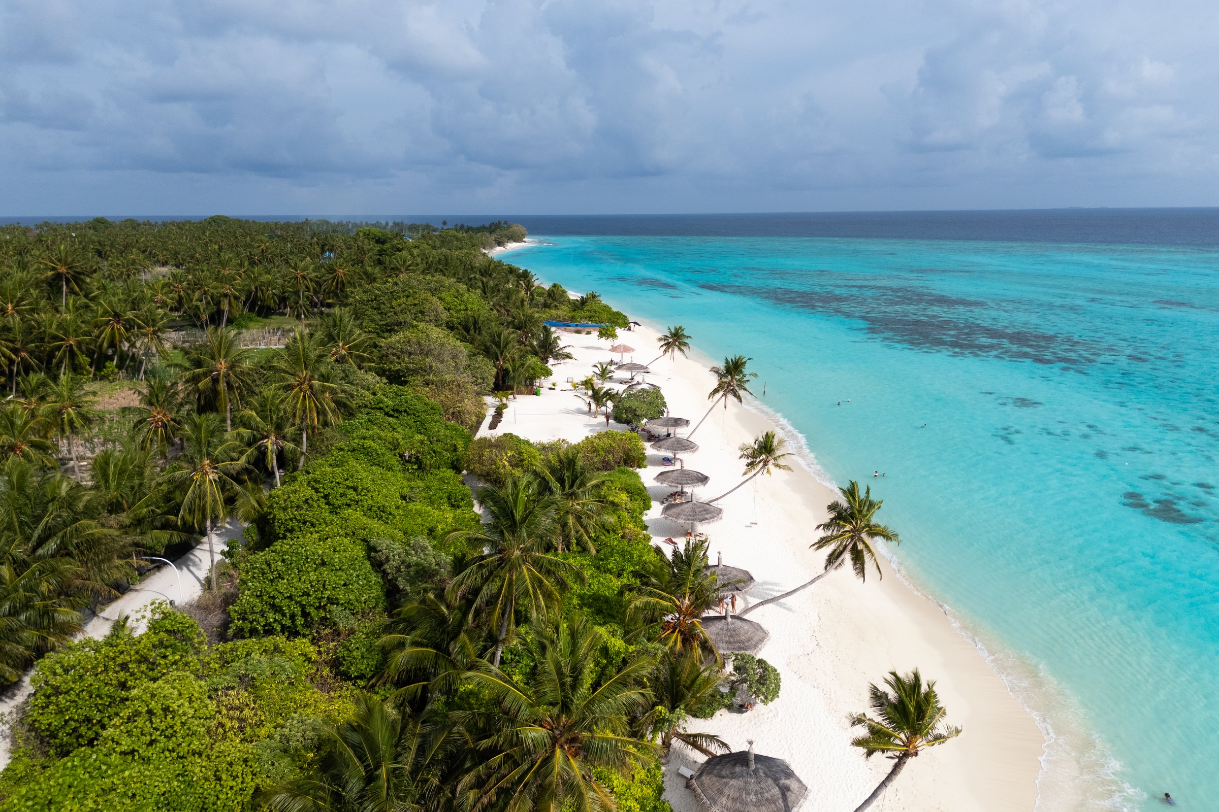 Thoddoo's shoreline from the air, palms and parasols along the sand