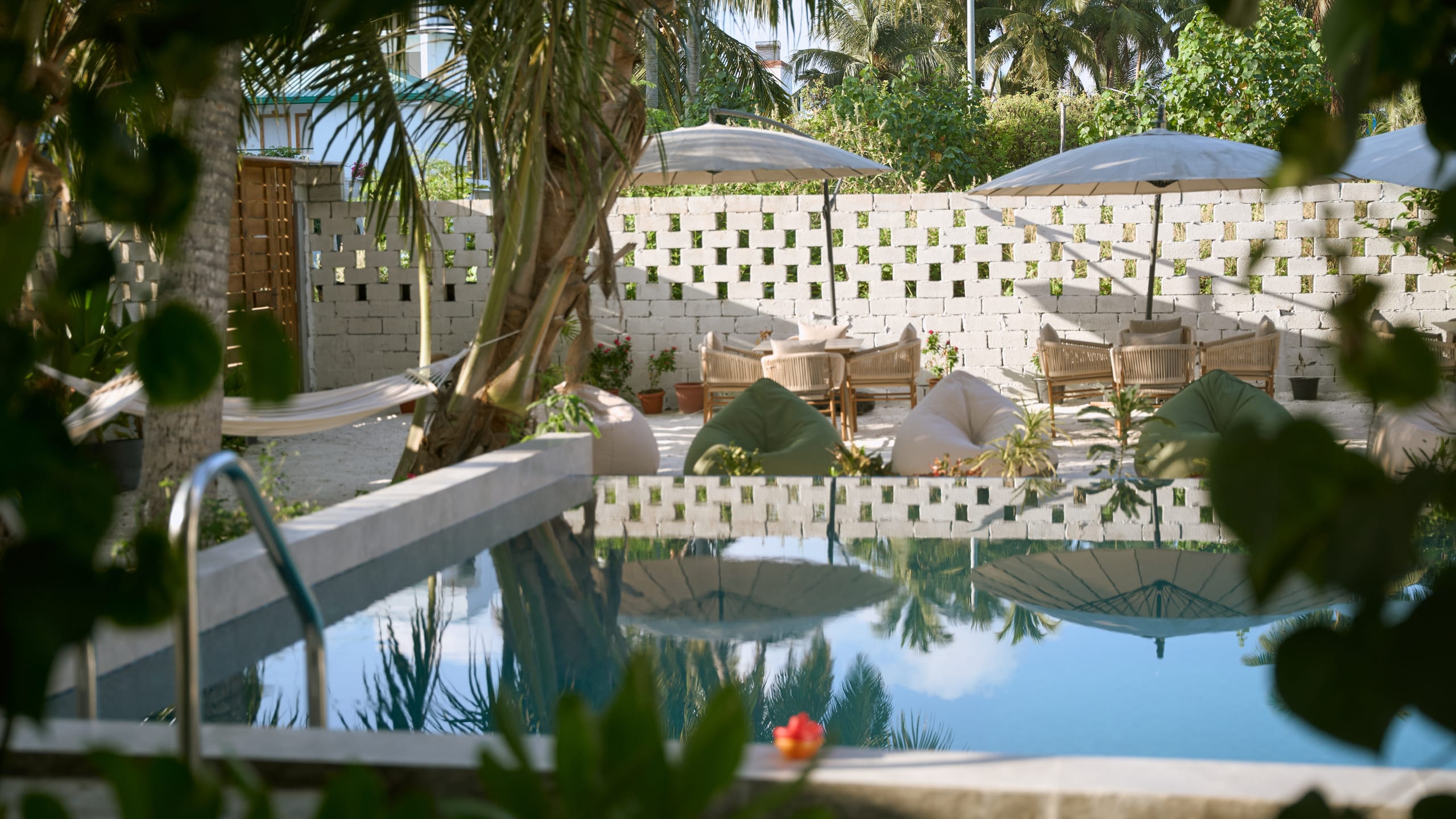 The pool and its loungers, seen through the garden